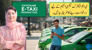 CM Punjab E-Taxi Scheme 2025